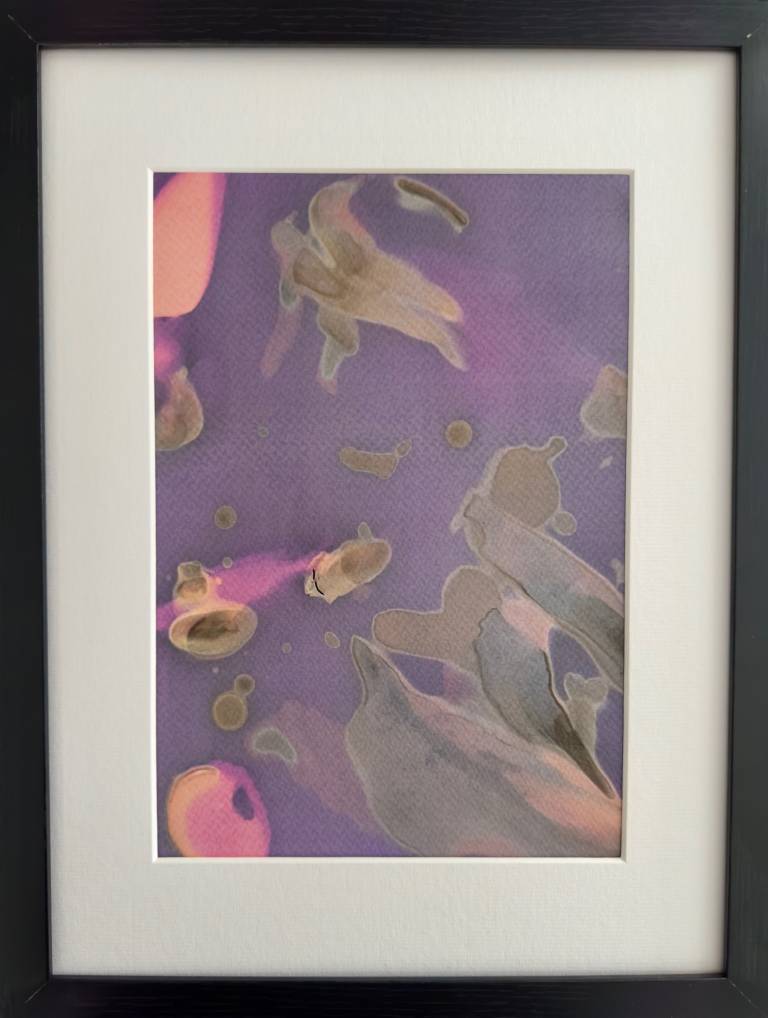 Beachcomber lumen print 4 (framed) - Sharon Bruster