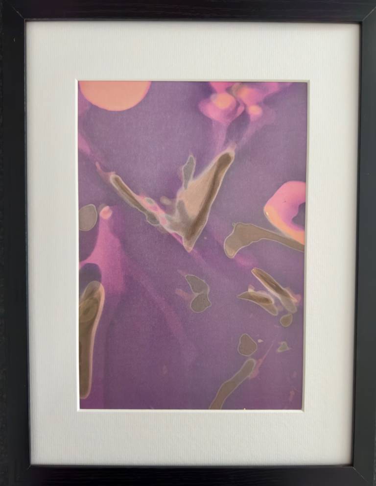 Beachcomber lumen print 5 (framed) - Sharon Bruster