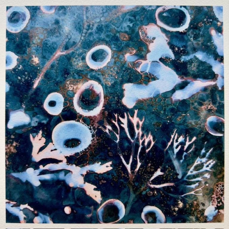 Beachcomber cyanolumen print 7 (square small) - Sharon Bruster