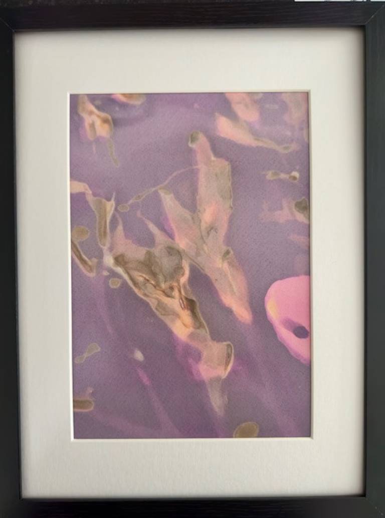 Beachcomber lumen print 2 (framed) - Sharon Bruster