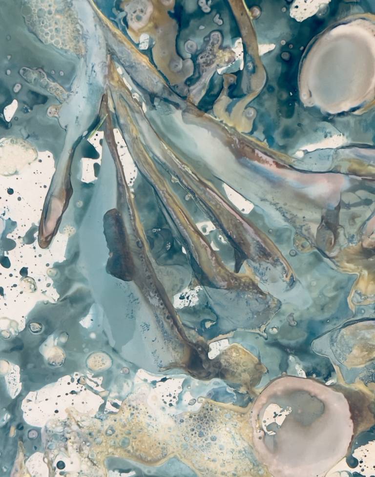 Beachcomber cyanolumen print 1 (unmounted) - Sharon Bruster