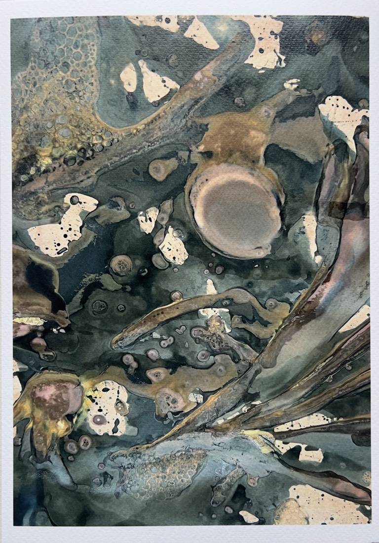 Beachcomber cyanolumen print 2 (unmounted) - Sharon Bruster