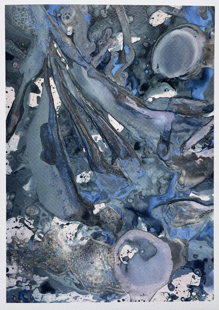 Beachcomber cyanolumen print 3 (unmounted) - Sharon Bruster