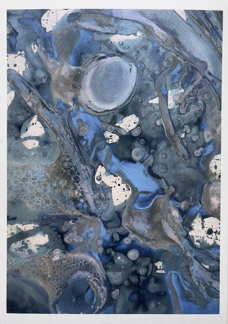 Beachcomber cyanolumen print 4 (unmounted) - Sharon Bruster