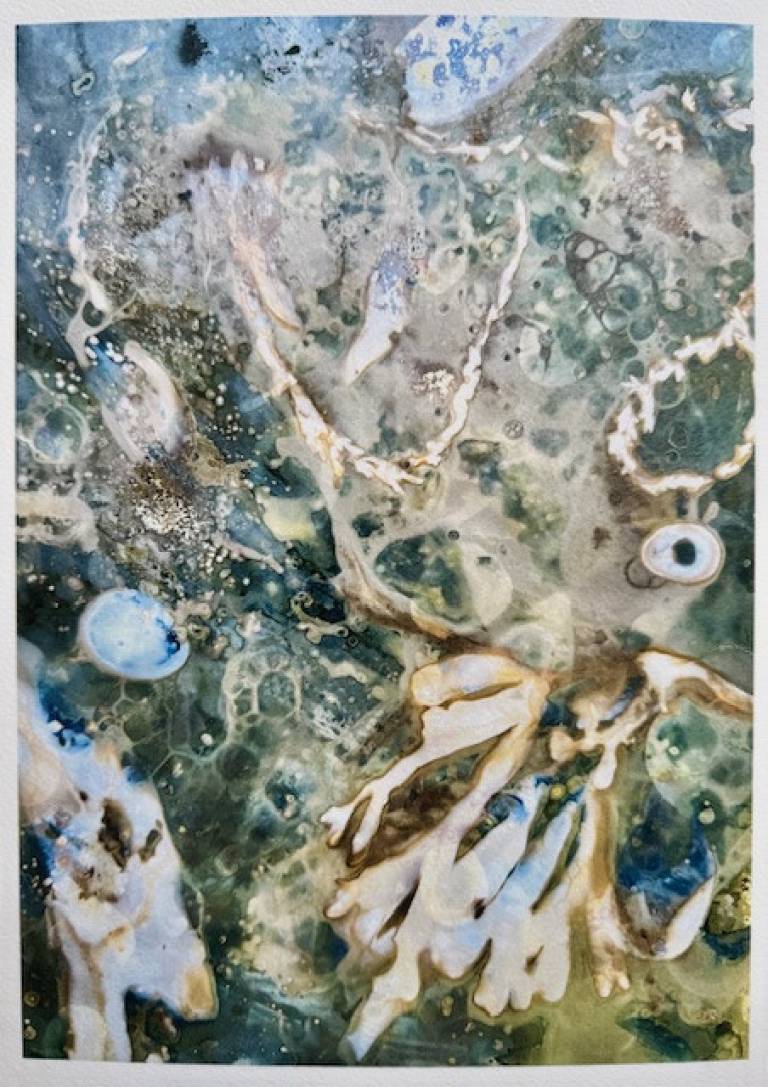 Beachcomber cyanolumen print 6 (unmounted) - Sharon Bruster