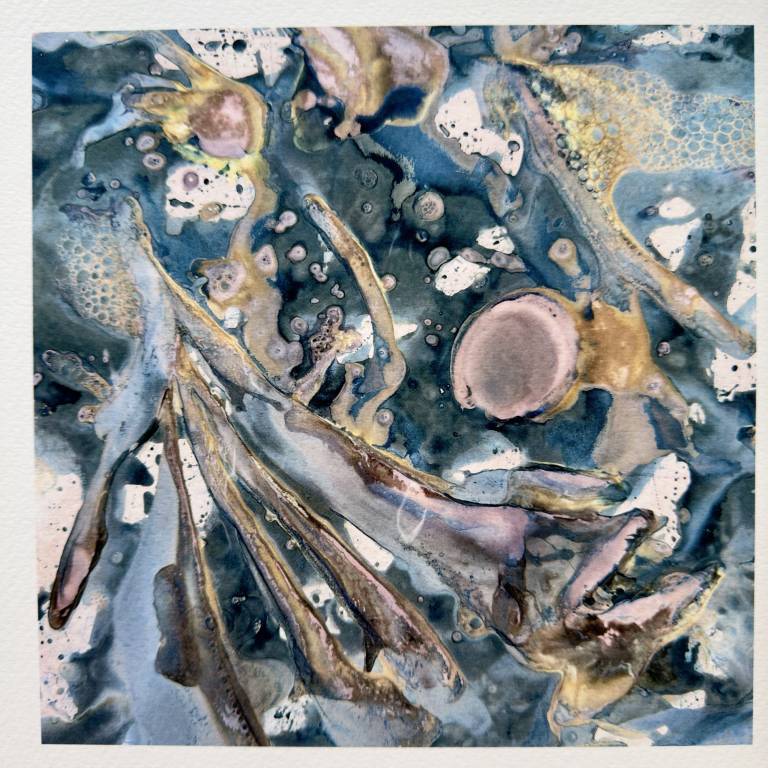 Beachcomber cyanolumen print 1 (square unmounted) - Sharon Bruster