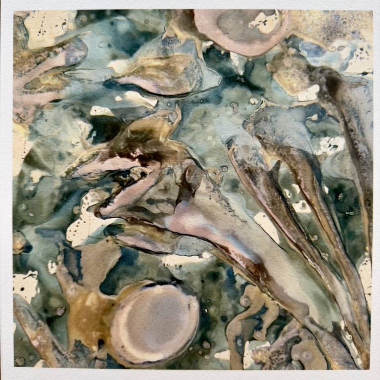 Beachcomber cyanolumen print 2 (square unmounted) - Sharon Bruster
