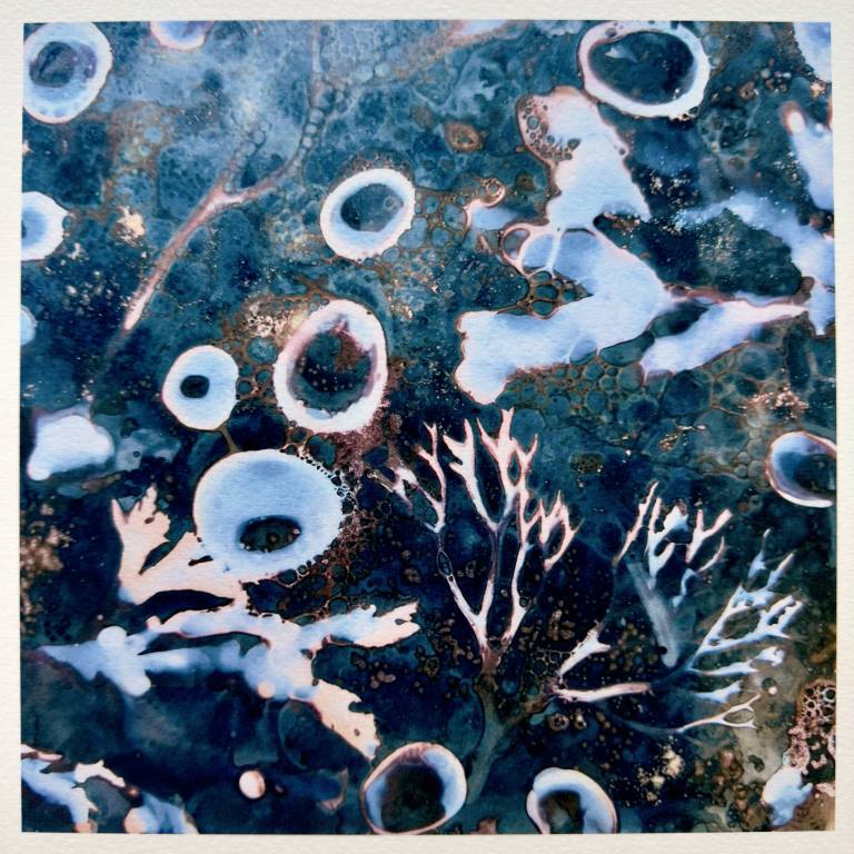 Beachcomber cyanolumen print 7 (square unmounted) - Sharon Bruster