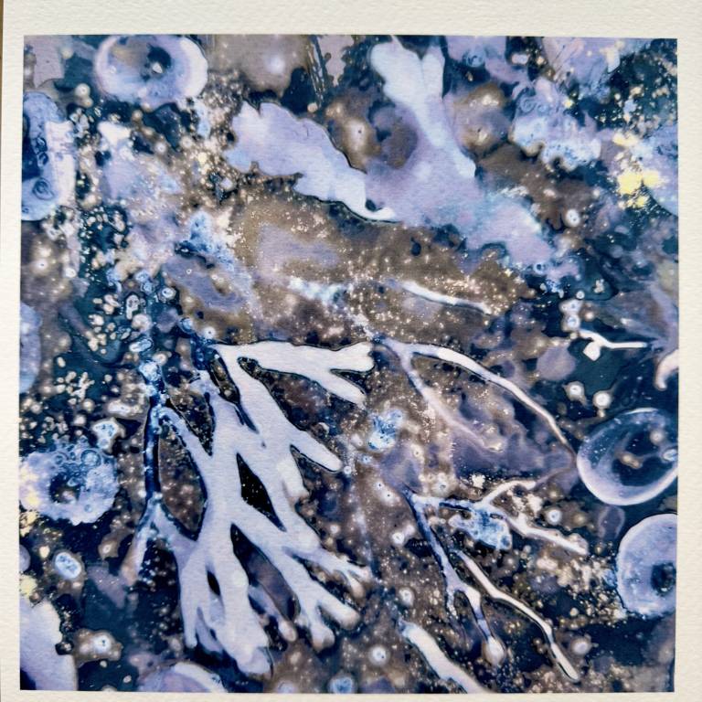 Beachcomber cyanolumen print 8 (square unmounted) - Sharon Bruster