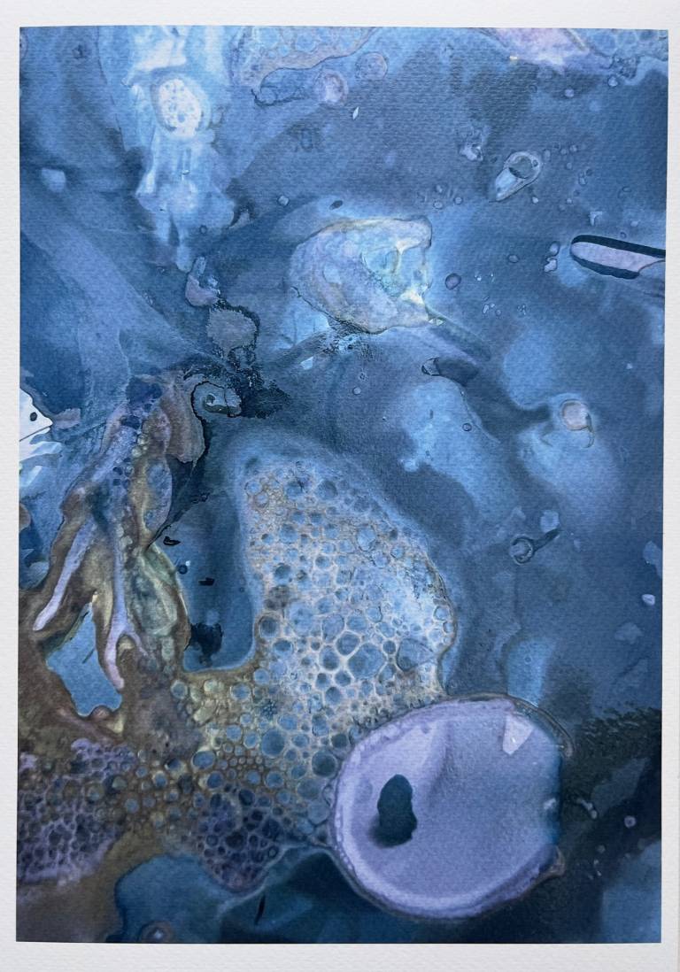 Beachcomber cyanolumen print 5 (unmounted) - Sharon Bruster