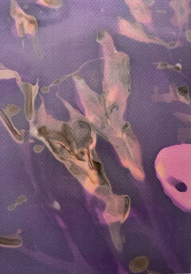 Beachcomber lumen print 2 - Sharon Bruster