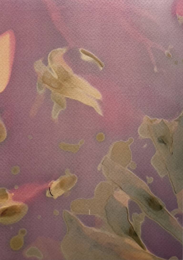 Beachcomber lumen print 3 - Sharon Bruster