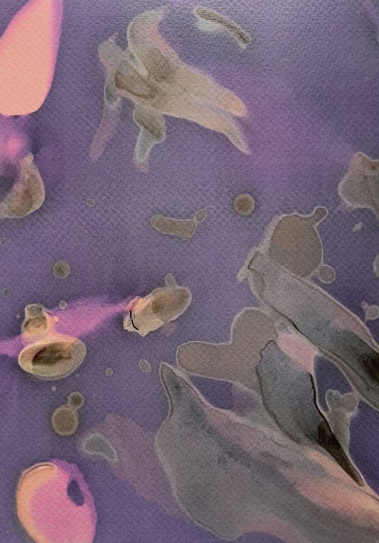 Beachcomber lumen print 4 - Sharon Bruster