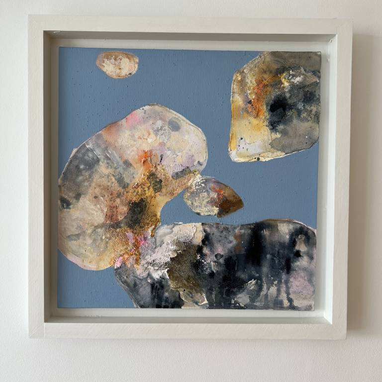 Shell seeker 5 - Sharon Bruster