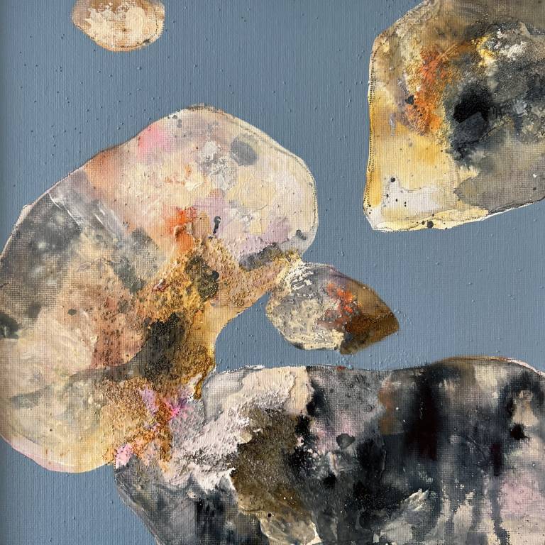 Shell seeker 5 - Sharon Bruster