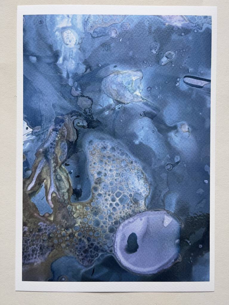 Beachcomber cyanolumen print 5 - Sharon Bruster