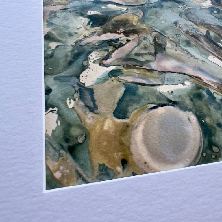 Beachcomber cyanolumen print 2 (square) - Sharon Bruster