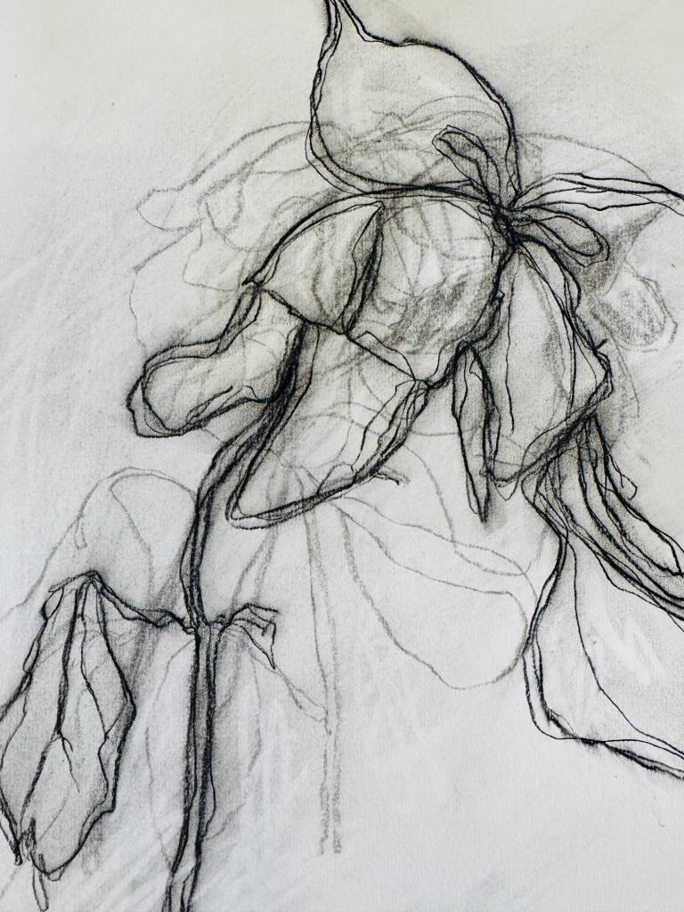 Weekly drawing group, Trevone - Sharon Bruster