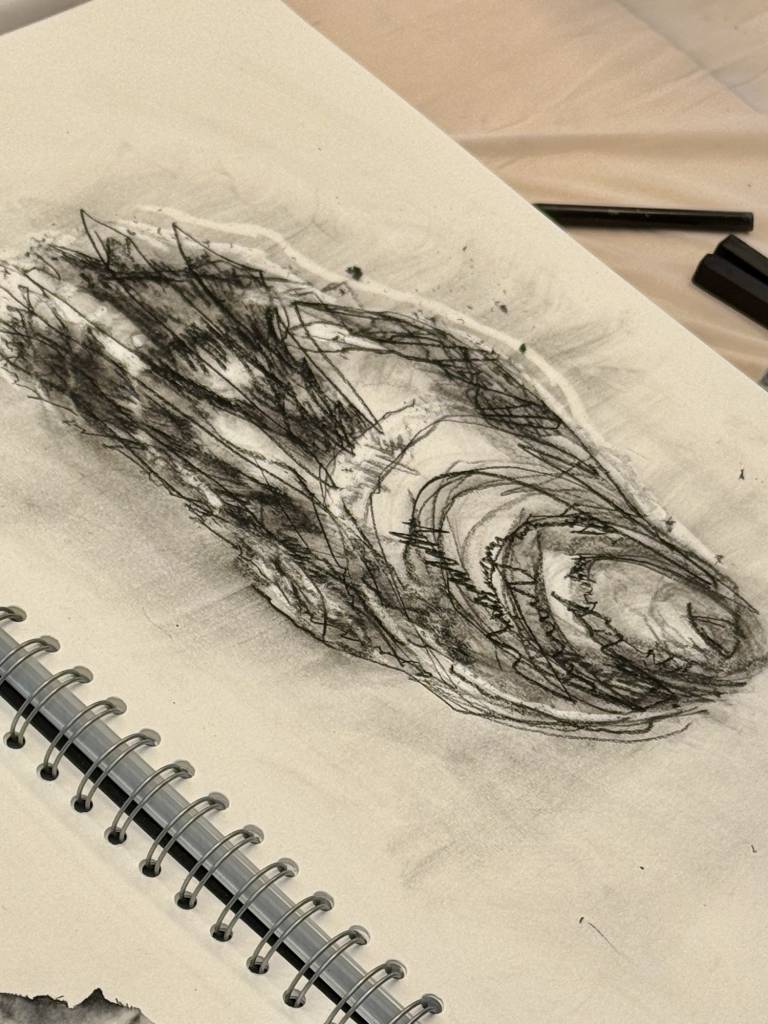 Weekly drawing group, Trevone - Sharon Bruster