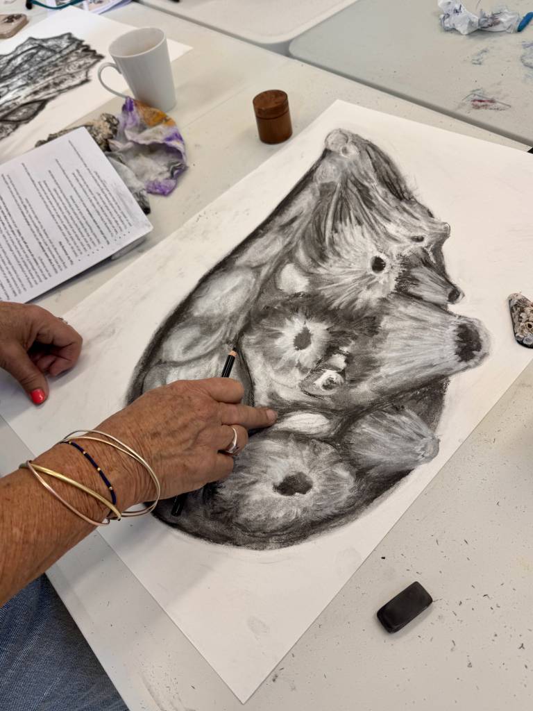 Weekly drawing group, Trevone - S Bruster