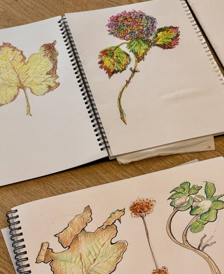 Weekly drawing group, Trevone - S Bruster