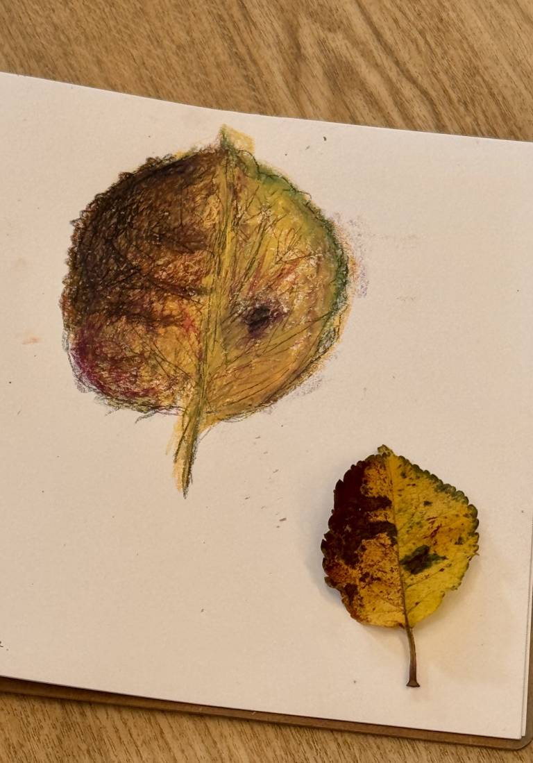 Weekly drawing group, Trevone - S Bruster