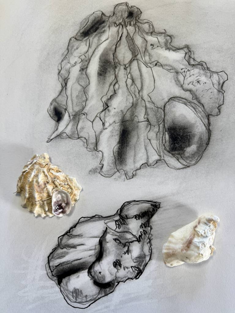 COMING SOON: Expressive drawing using charcoal - S Bruster