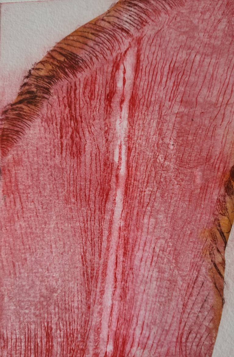 Red Petal - Jennifer Gloster Kok