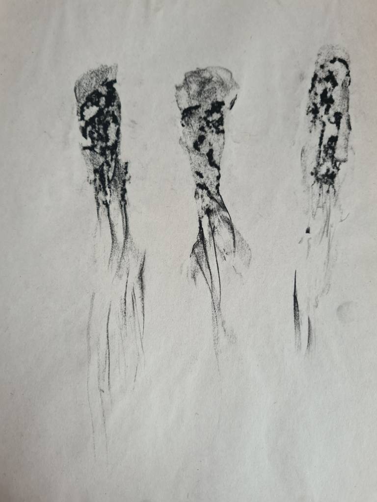 Nymph Rock Rubbings - Jennifer Gloster Kok