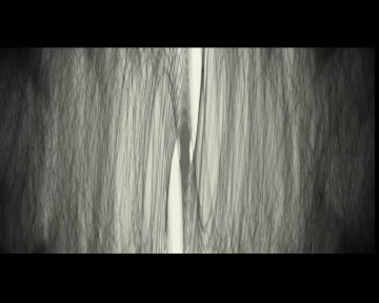 Gyrus - Jennifer Gloster Kok