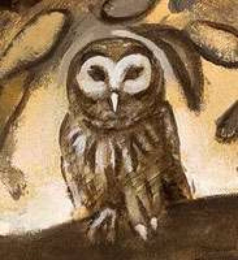 Owl - Brian  Martin