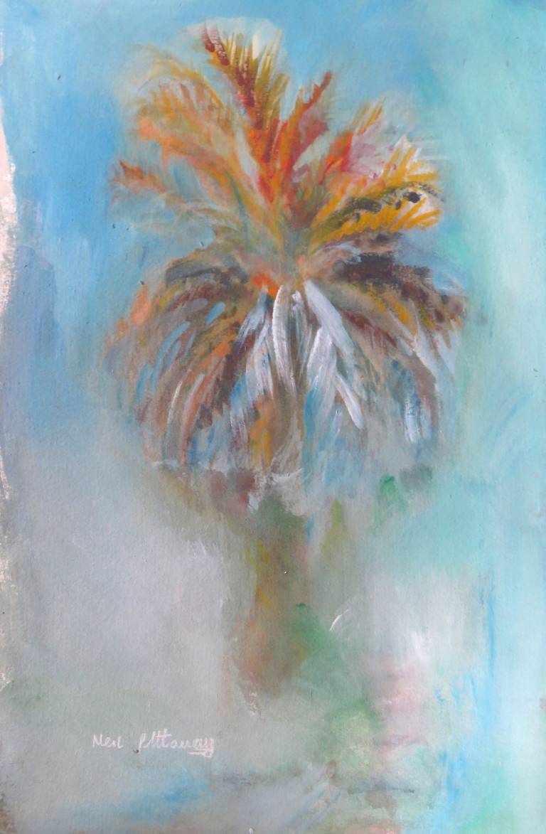 Indian Palm Tree - Neil Pittaway