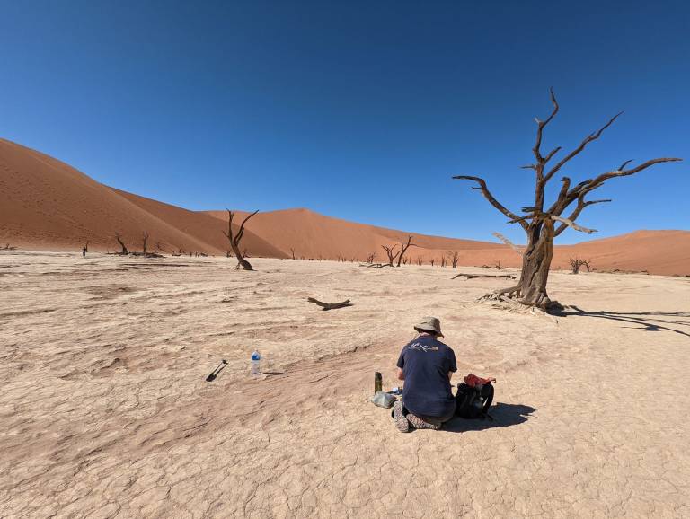 The Artist Painting at Deavlei, Namibia, Africa - Neil Pittaway