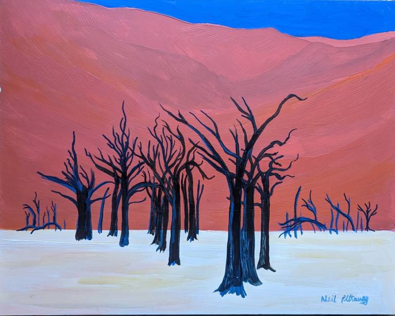 Deadvlei  Trees, Namibia - Neil Pittaway