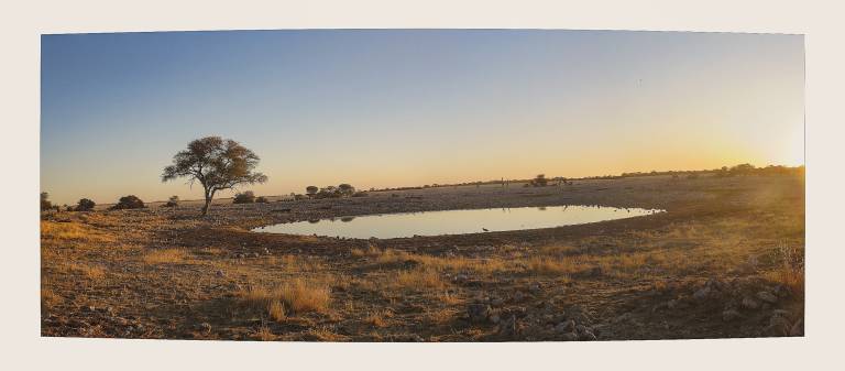 Late afternoon at the Salt Pan natural lake at Etosha National Park, Namibia - Neil Pittaway