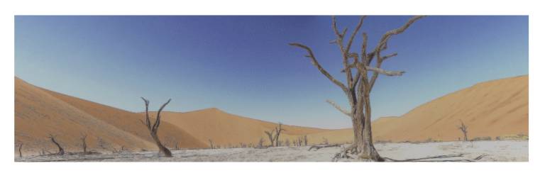 Deadvlei, Namibia - Neil Pittaway