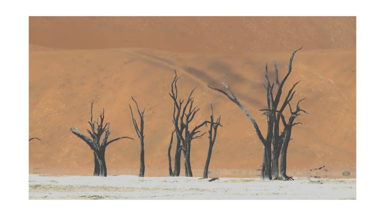 Dancing Trees, Deadvlei, Namibia - Neil Pittaway