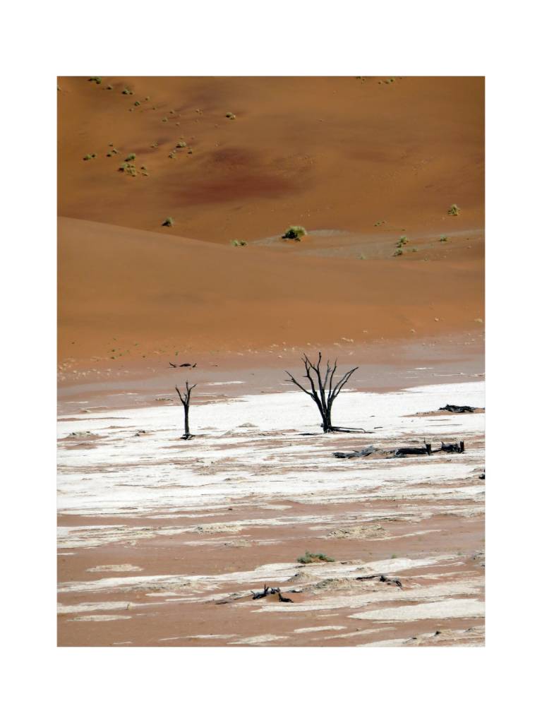 Two Trees, Deadvlei, Namibia - Neil Pittaway