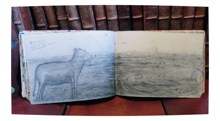 Africa Sketchbook (Victoria Falls to Cape Town) - Neil Pittaway