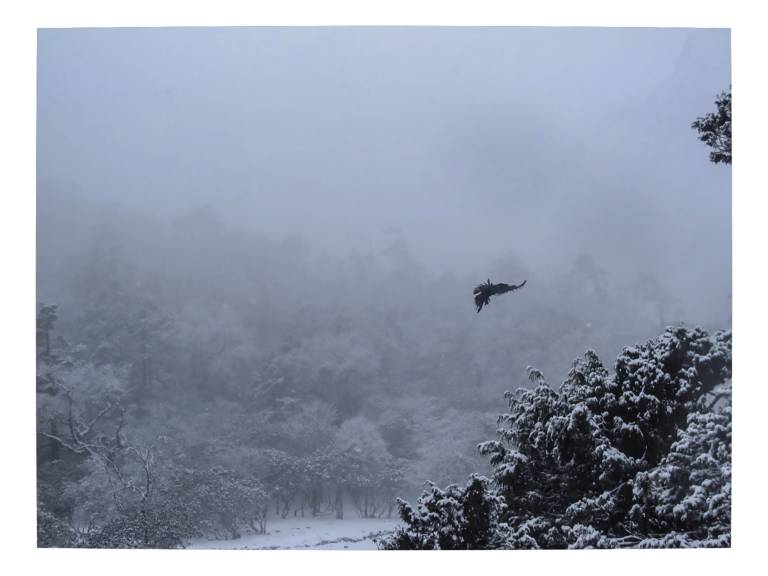 Snow flight, Tengboche, Nepal - Neil Pittaway