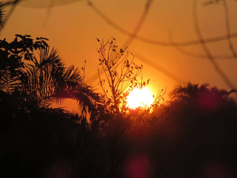 Zambezi Sundown, Zimbabwe Africa - Neil Pittaway