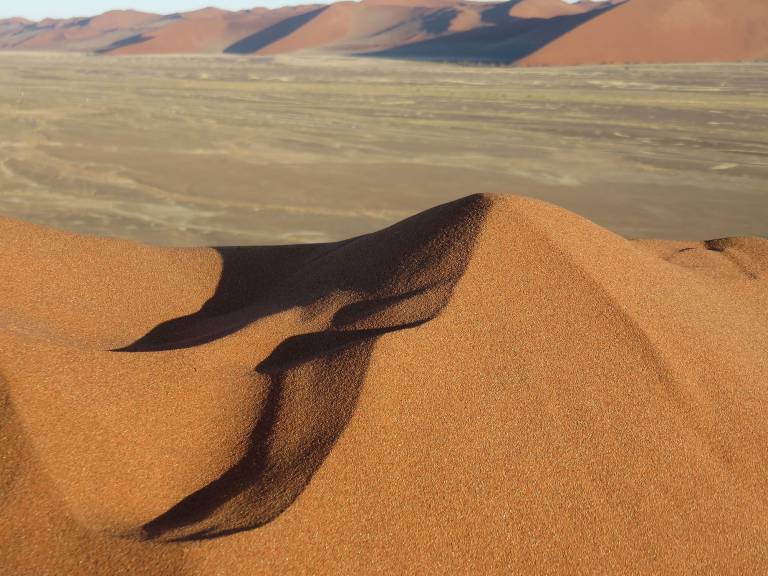 Close views from the top of Dune 45, Namibia, Africa - Neil Pittaway