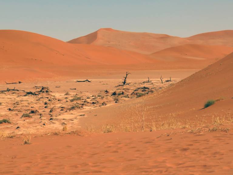 Desert Dunes of Namibia, Africa - Neil Pittaway