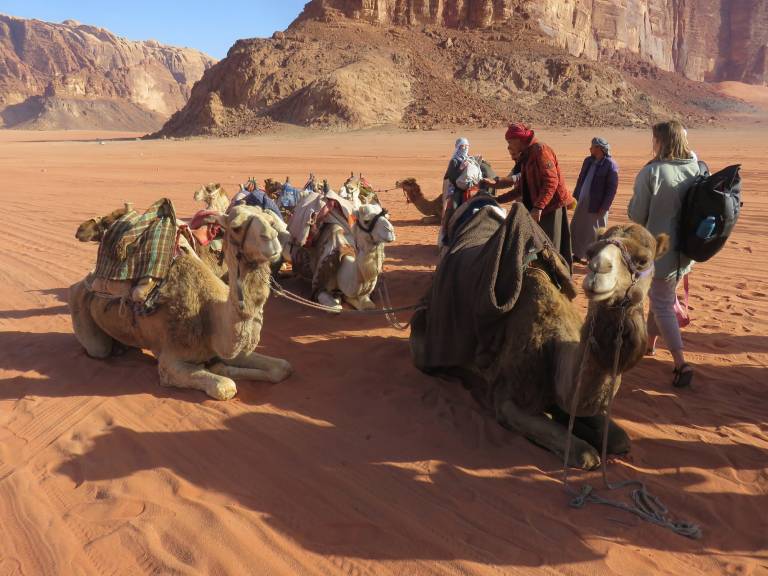 Camels at Wadi Rum, Jordan - Neil Pittaway