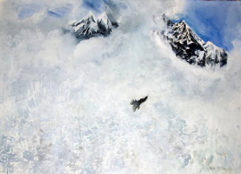Bird flight over the Himalayas - Neil Pittaway
