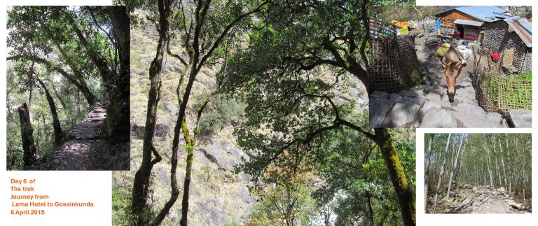 On the trail from the Lama Hotel to Gosainkunda, Nepal - Neil Pittaway