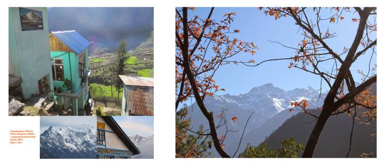 Thulo Shyaphru, 2250m and Chandanbari 330m, Langtang National Park, Nepal  Easte - Neil Pittaway