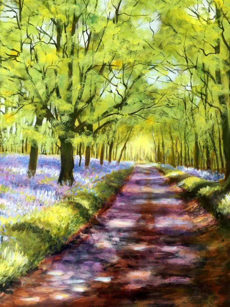 Bluebells St Neot - Louise Kidd