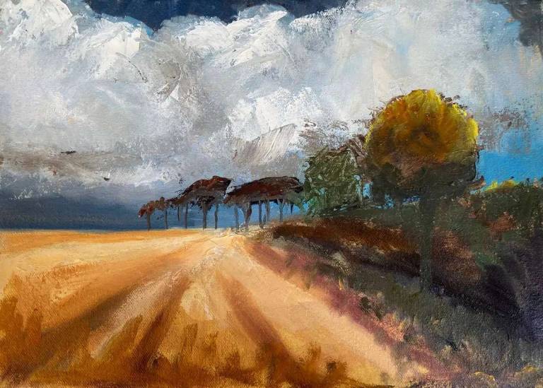 Stormy Clouds - Louise Kidd