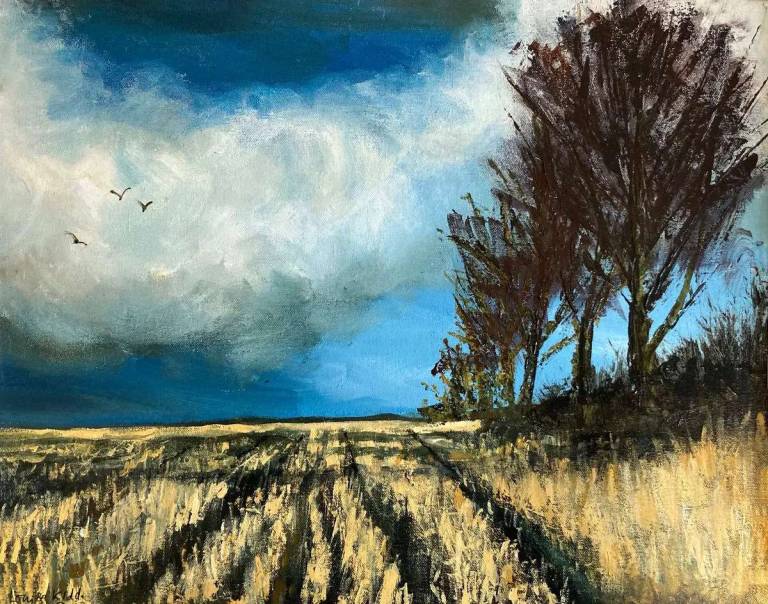 Stubble field - Louise Kidd